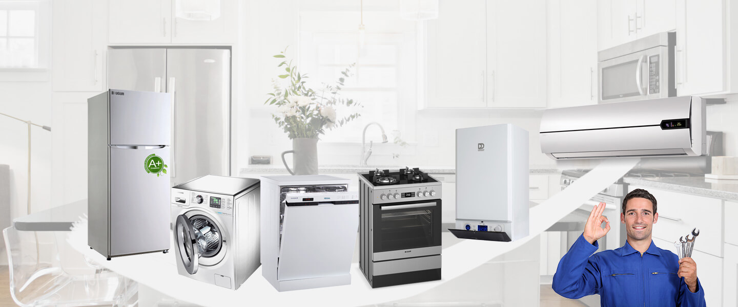 Ceylanpınar Electrolux Servisi
